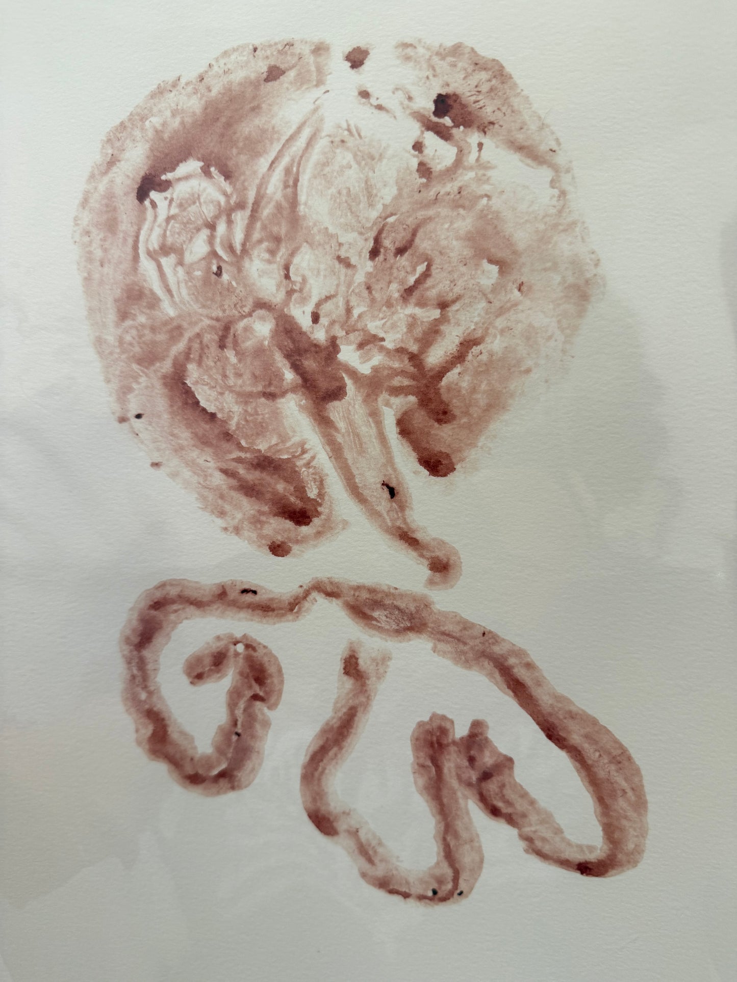 Placenta Print (Add on Only)