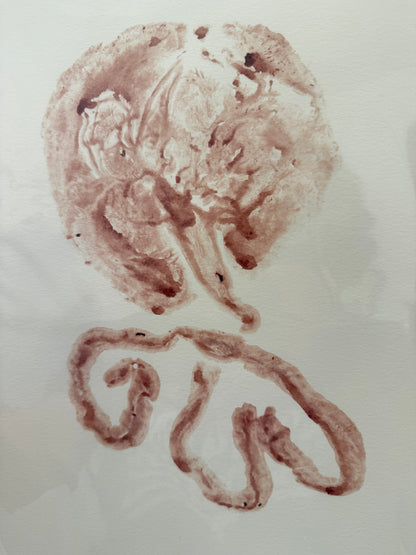 Placenta Print