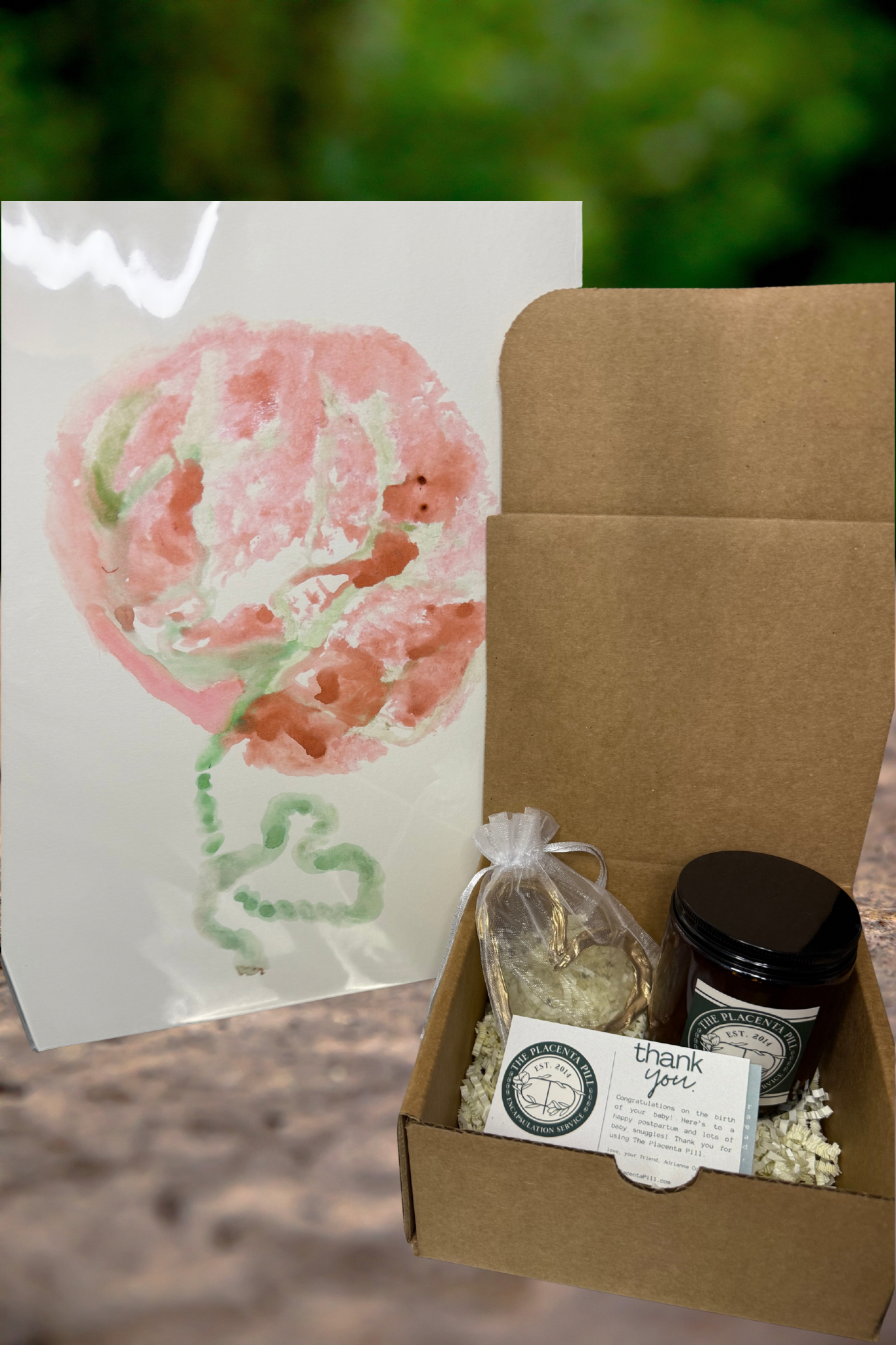 Placenta Keepsake Package (No Encapsulation Required)