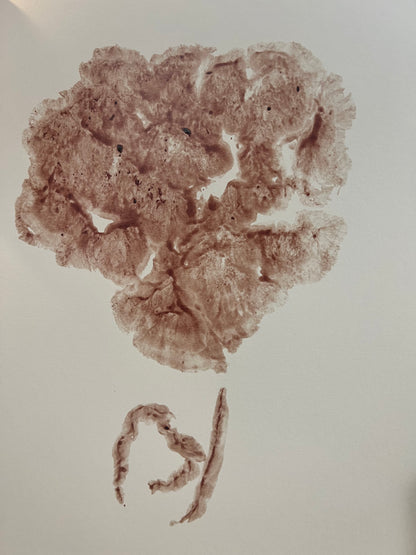 Placenta Print